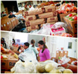 tomchei Shabbas distributes food for Shabbas & Yom Tov to those in need