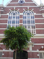 Gerard Dou Synagogue in Amerstam, Netherlands