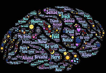 What's in a brain?