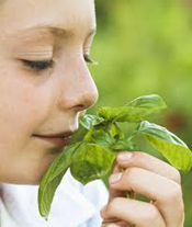 A young girl breathing an herb