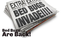 Bed bugs can invade your home