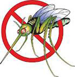 Mosquitoes cause West Nile Fever & West Nile Virus